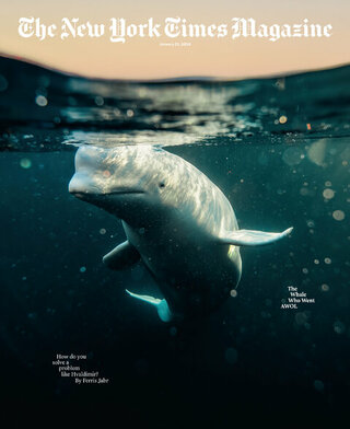 圈養鯨豚迫表演 動保權益引發爭議（紐約時報雜誌The New York Times Magazine）