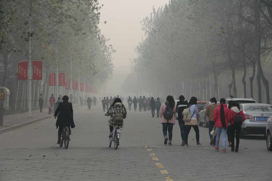 研究指出,民眾要是長期生活在空氣汙染高的環境,就會導致嗅覺喪失。(Photo by V.T. Polywoda on Flickr under C.C. License)