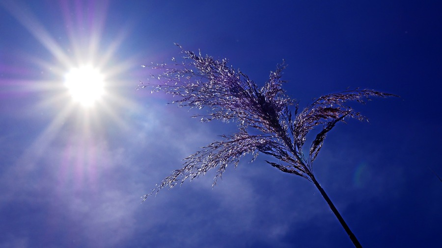 世界日均溫在3日突破17度,創下有史以來最熱紀錄。(Pixabay)