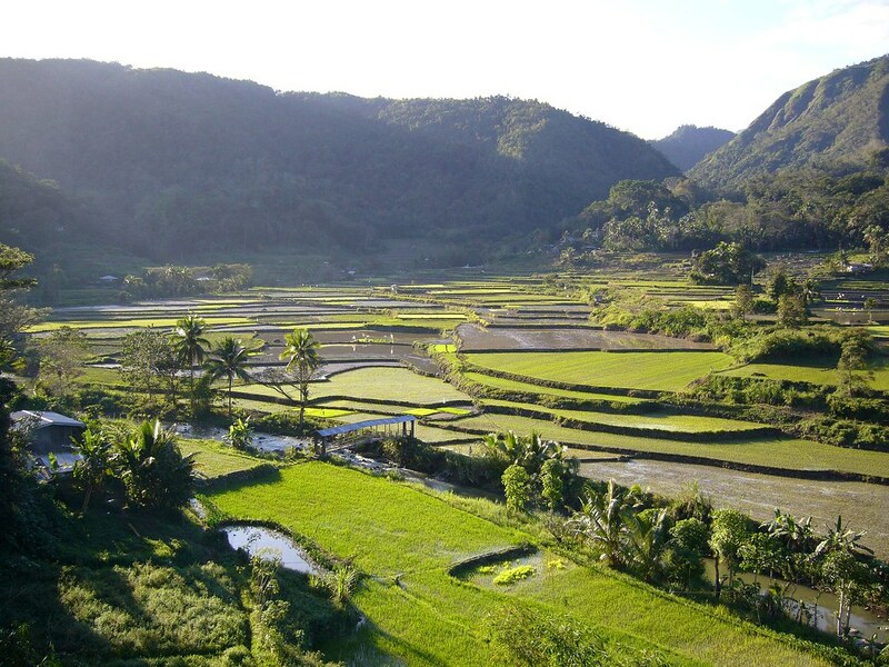 廣義地看,土地資源包括陸地、水、空氣以及其他地球表面的自然資源。(本報資料照片)