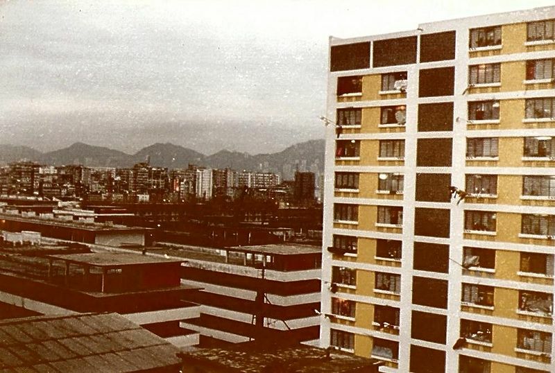 崔媽媽基金會呼籲,政府盡速落實「租屋市場透明化」相關政策以健全租屋市場。(網路截圖)