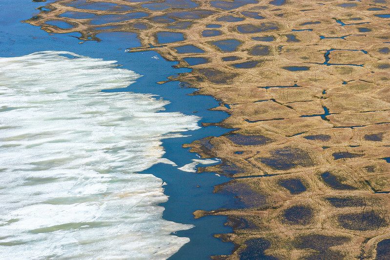 地球暖化造成融冰消失,古老的病原體也藉機重回新世界。(Photo by Bureau of Land Management Alaska on Flickr used under Creative Commons license)