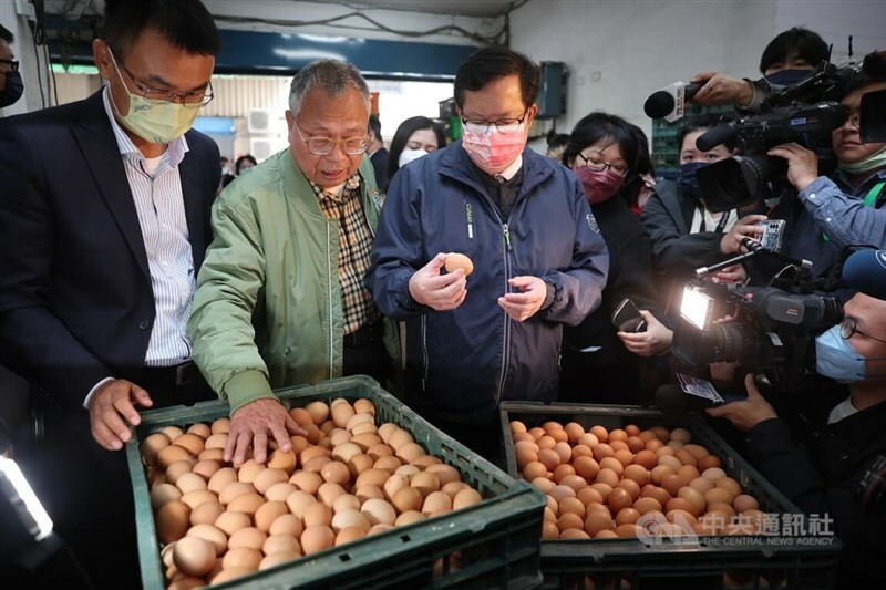針對進口雞蛋議題,消基會副董事長徐則鈺呼籲政府徹查標示不實,並提醒民眾謹慎選蛋。(中央社)