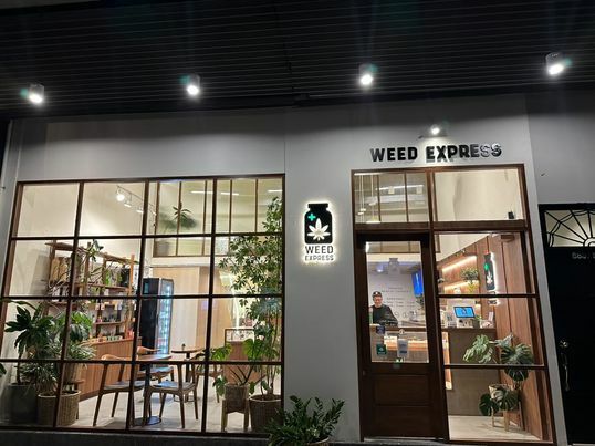 泰國去年6月成為首個大麻合法化的東南亞國家,但泰國新總理擔憂毒品氾濫的問題,盼能收回成命。(民眾提供)
