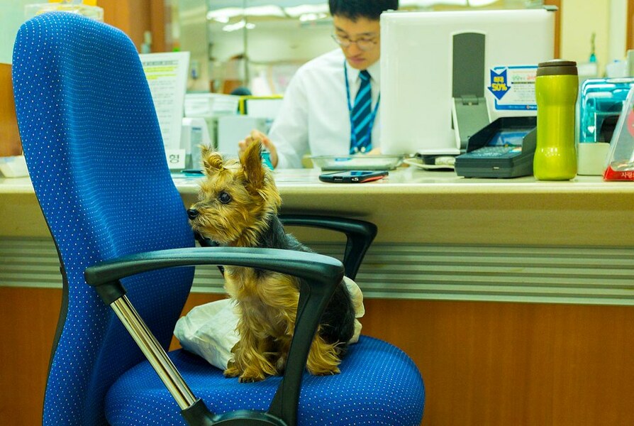 部分南韓銀行員工將延長工時。(Photo by Craig Rohn on Flickr used under Creative Commons license)