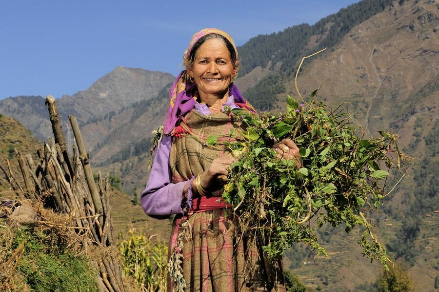 女性一直是目前執政的印度人民黨主要支持者。(Photo by Alliance of Bioversity International and CIAT on Flickr used under Creative Commons license)