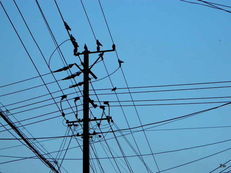 經濟部將於3月召開電價審議會,預估特高壓的半導體產業用電大戶調幅超過1成;家庭用電範圍超過500度就漲。(Photo on WikiCommons)