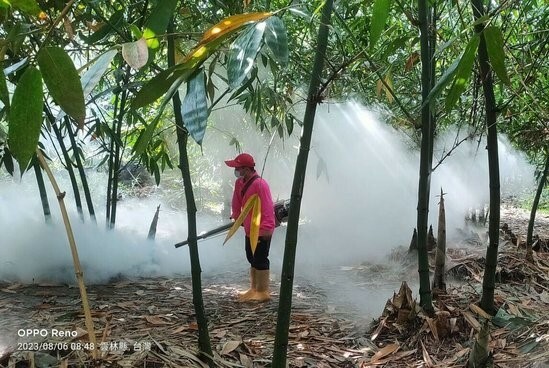 環境部27日提醒民眾,購買殺蟲劑等環境用藥的注意事項。(中央社)