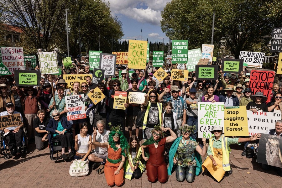 鮑勃布朗基金會組織近期舉辦「為森林抗爭」(March For Forests)示威,敦促澳洲政府停止原生森林砍伐。(Photo by Bob Brown Foundation)