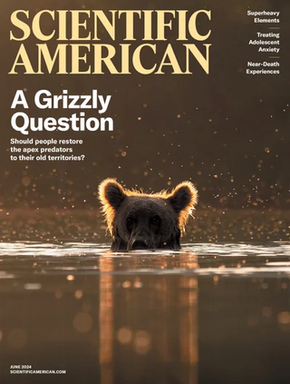 棕熊回來了！ 復育計畫卻威脅牲畜（科學人 Scientific American）