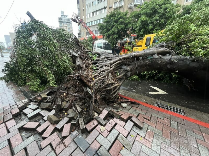 山陀兒颱風預計3日深夜到4日清晨強度將降為輕颱,甚至是熱帶低壓,需注意小範圍豪雨。(中央社)