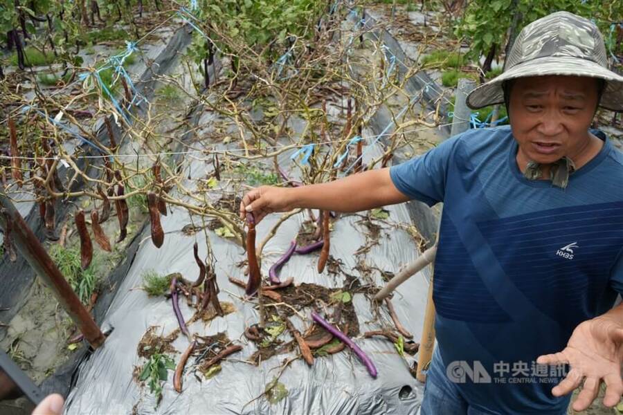 為保障以農業為主、財政相對困窘的農業縣市的基本財政需求,以及農業縣市的居民應當享有基本公共財水準,國土法應當在一般補助款中,以農業縣農地面積推計專門補助農業縣市的額度。(中央社)