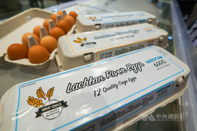 美國目前陷入缺蛋危機,政府將與土耳其、南韓等國家購買。(中央社)