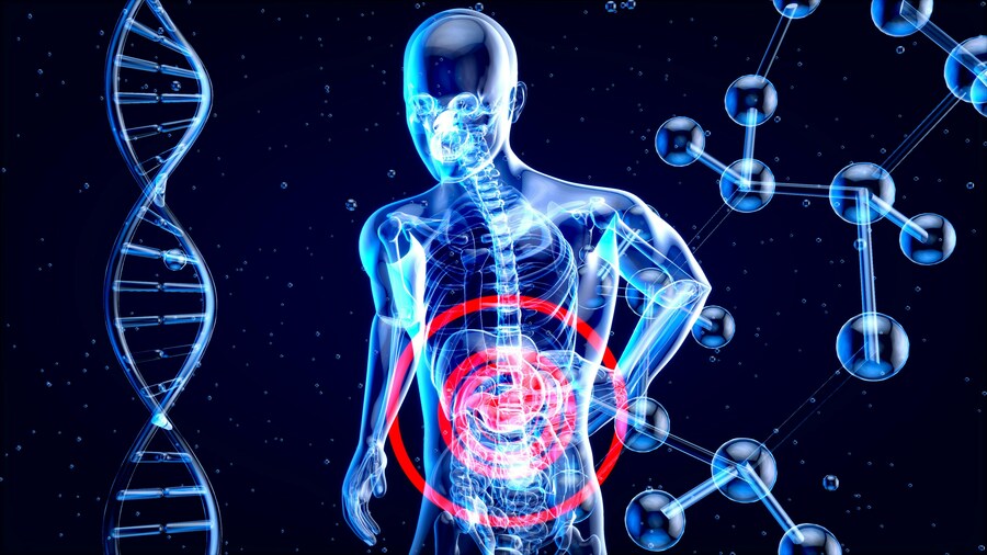 人體掃描影像示意圖。英國生物樣本庫編製出世界最大、最詳細的「人體影像數據庫」。(Photo by julien Tromeur on Unsplash under C.C License)